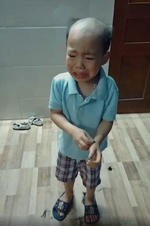 Tự tay cắt tóc, stylist nhí cũng phải khóc thét khi ngắm thành quả của mình, cha mẹ thì được phen cười bể bụng-2