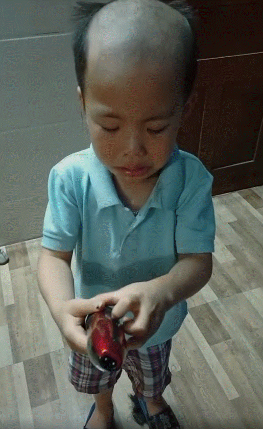 Tự tay cắt tóc, stylist nhí cũng phải khóc thét khi ngắm thành quả của mình, cha mẹ thì được phen cười bể bụng-3