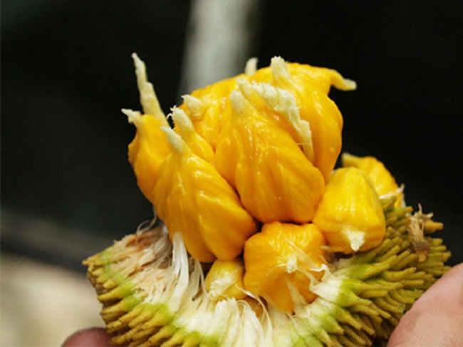 Xuất hiện loại mít lạ, bé bằng nắm tay nhưng chi chít múi, chị em thi nhau đặt mua-4