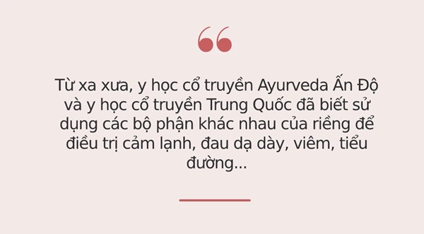 Loại củ ở Ấn Độ là thuốc quý, ở Việt Nam bán rẻ bèo: Chống được ung thư, tiểu đường và trị dứt điểm nhiều loại bệnh quen thuộc-1