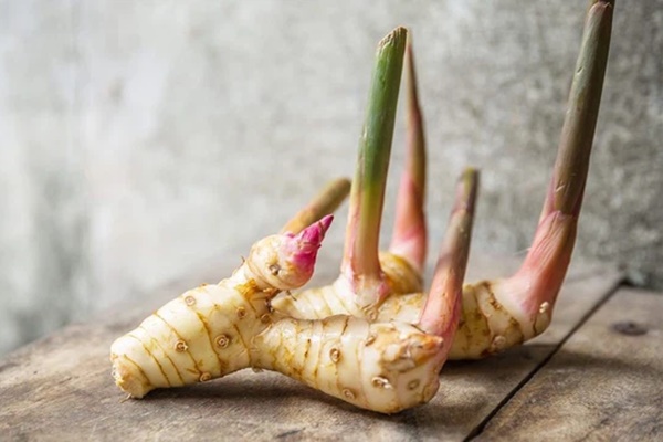 Loại củ ở Ấn Độ là thuốc quý, ở Việt Nam bán rẻ bèo: Chống được ung thư, tiểu đường và trị dứt điểm nhiều loại bệnh quen thuộc-3