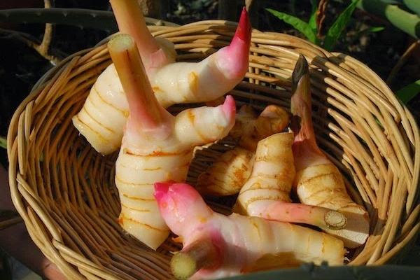 Muốn kiểm soát lượng đường huyết, đề phòng bệnh tiểu đường, hãy ăn sáng trước khung giờ này-4