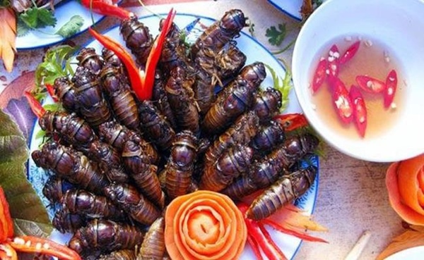 2 loài nhìn y hệt gián nhưng được người Việt rần rần lùng mua-5