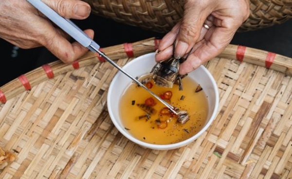 2 loài nhìn y hệt gián nhưng được người Việt rần rần lùng mua-12