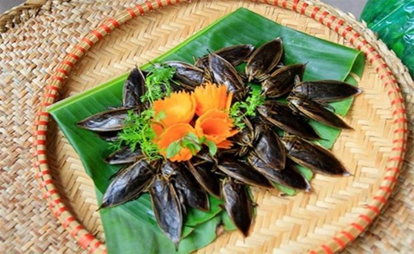 2 loài nhìn y hệt gián nhưng được người Việt rần rần lùng mua-14