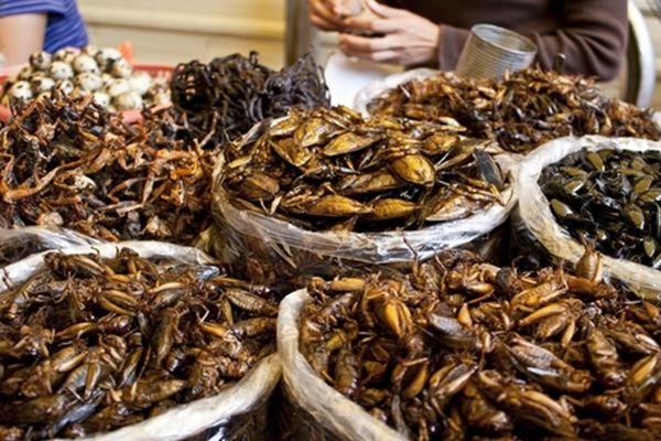 Bạn sẽ đạt được tự do tài chính nếu giữ 6 thói quen đơn giản này-5