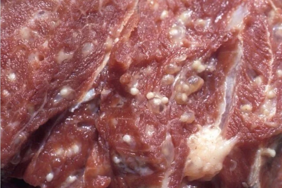 Người bán thịt lợn chẳng bao giờ bật mí: 5 loại thịt cứ thấy là tránh xa, ăn vào dễ rước bệnh-1