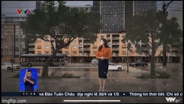 BTV Xuân Anh làm người xem thót tim khi đang lên sóng thì cây đổ ngay cạnh nào ngờ sự thật lại rất bất ngờ-2