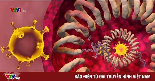 Biến chủng mới có thể cắm vào bất cứ nơi nào trong cơ thể, lây lan nhanh và nguy hiểm hơn-1