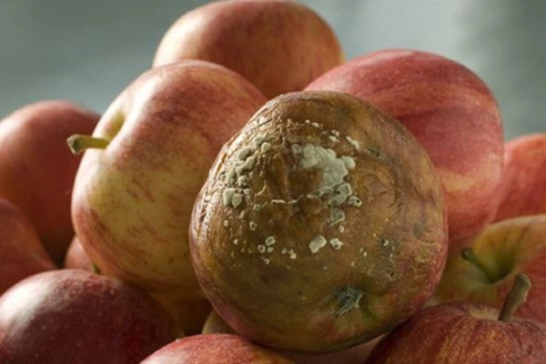 Ngay trong gian bếp luôn có 5 thực phẩm giúp giảm cân nhanh, ngừa ung thư và chậm lão hóa nhưng ít phụ nữ biết đến-6