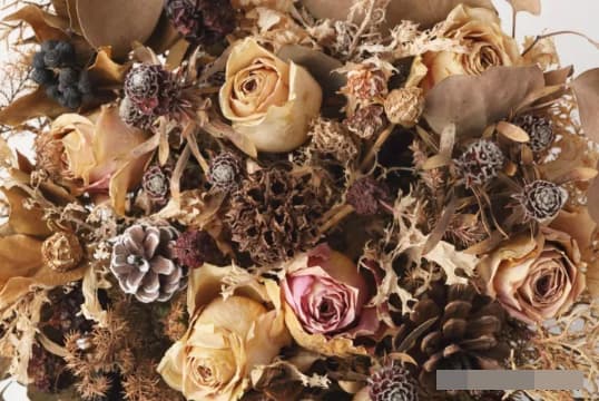 Đừng giữ những thứ đáng ngại này ở nhà nếu không muốn gia đình nghèo đi và ảnh hưởng xấu đến sức khỏe-1