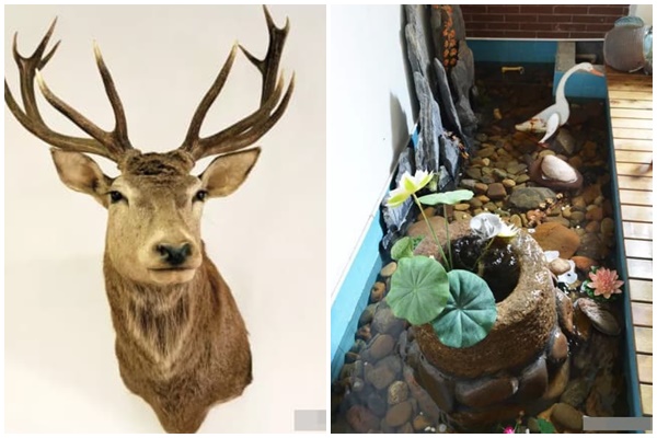 2 điều kiêng kỵ khi bố trí ban công, nhà giàu không bao giờ làm thế này, đừng lờ đi mà coi như không biết-5