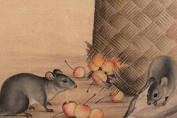 3 con giáp nam khôn khéo và biết nắm bắt cơ hội, tháng 5 thiên thời địa lợi nhân hòa, sự nghiệp thăng hoa tiền bạc rủng rỉnh tiêu không hết-4