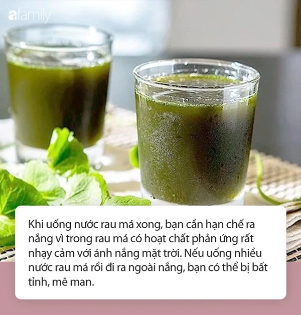 Nước rau má vừa ngon lại mát vào mùa nắng nóng nhưng đừng uống theo những cách này kẻo thành công cốc!-2