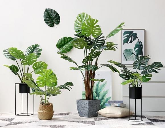 Đồ vật tưởng tốt cho phong thủy nhưng lại chính là kẻ thù của tài lộc, bảo sao gia chủ làm mãi vẫn cứ nghèo-2