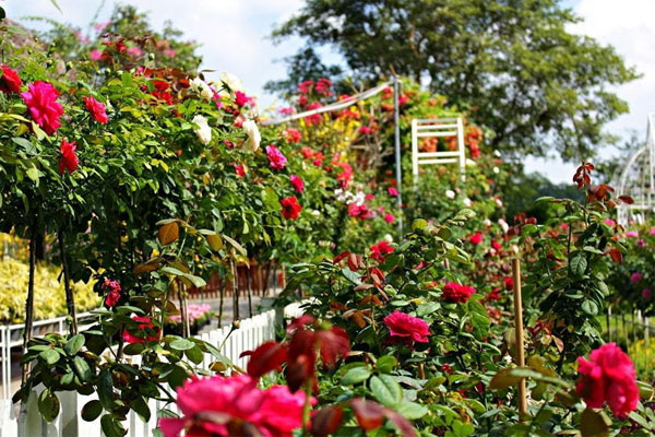 Vừa nhìn mâm cơm cữ, mẹ buồn lòng nói một câu khiến cuộc hôn nhân của tôi rơi vào bế tắc-2