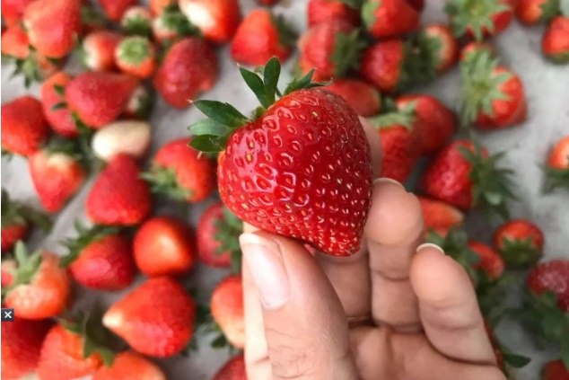 8 cách làm trắng răng tự nhiên đơn giản ngay tại nhà-3