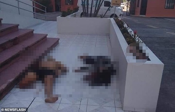 Cô gái xinh đẹp bị bạn trai ném từ tầng 12 xuống đất tử vong, cảnh hiện trường rùng mình được hàng xóm ghi lại-4