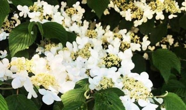 Ai sinh vào ngày âm lịch hoàng kim này càng về già càng giàu có, kể từ 7/5 dương lịch trở đi không phải lo lắng về sự nghiệp, tiền của-2