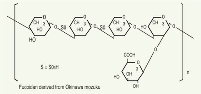 Fucoidan có nguồn gốc từ tảo nâu - ‘món quà’ đặc biệt cho sức khỏe-2