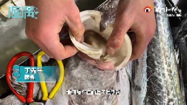 Ra chợ mua cá phát hiện bụng cá trương lên, người đàn ông không tin vào cảnh tượng trước mắt, phải quay video chia sẻ ngay lập tức-2