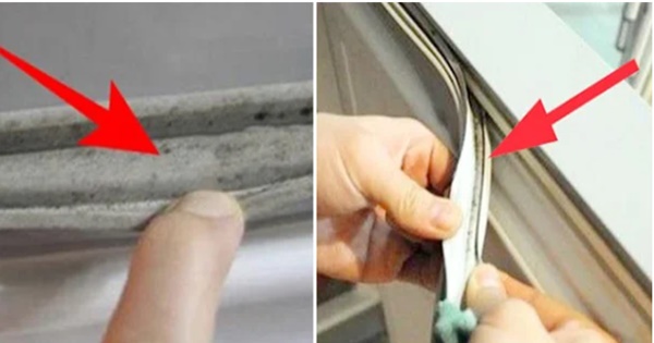 Miếng đệm cánh tủ lạnh cáu bẩn đen thui, chứa đầy vi khuẩn: 3 mẹo nhỏ giúp lau chùi sạch bong-1