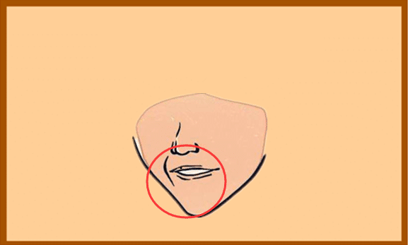 Đây là 4 nốt ruồi thiên kim, phụ nữ chỉ cần sở hữu 1 cái cũng đủ sống sung túc, từ giờ đến cuối đời không thiếu thứ gì-3