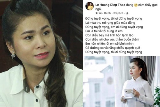 Hậu ly hôn được chia nghìn tỷ, bà Lê Hoàng Diệp Thảo đăng trạng thái