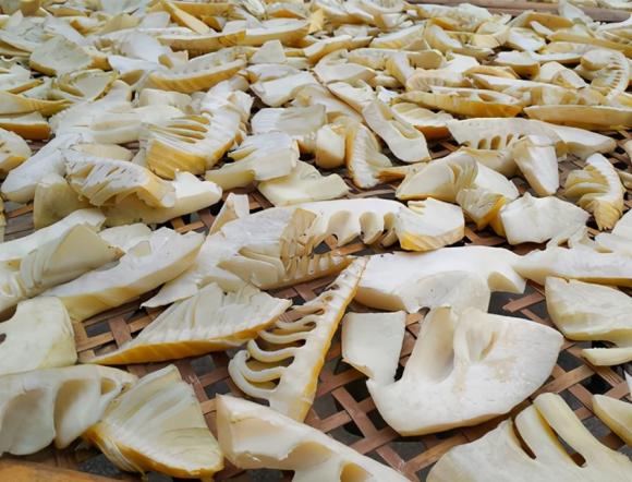 Phơi khô măng, đừng phơi trực tiếp, nhớ làm thêm 2 bước nữa thì măng khô mới trắng, ngon, để lâu không bị hỏng-4