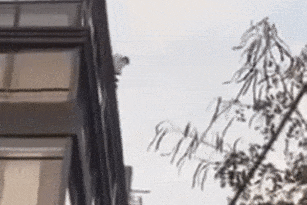 Đứa trẻ trèo lên ô tô nghịch khiến xe trôi ra đường, bố lao tới cứu nguy: Phản ứng tiếp theo của ông ta gây bức xúc-2