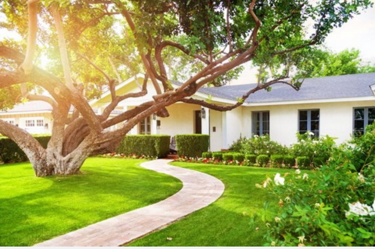 10 cách làm mát nhà mà không cần điều hòa, vừa đơn giản lại tiết kiệm chi phí, đem lại hiệu quả cao-8