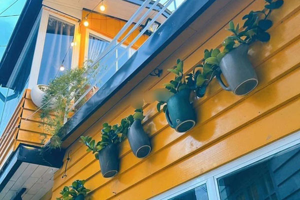 Mua lại quán cà phê đông khách ở Hà Nội, ngờ đâu dính bẫy chim mồi” giá chát-2