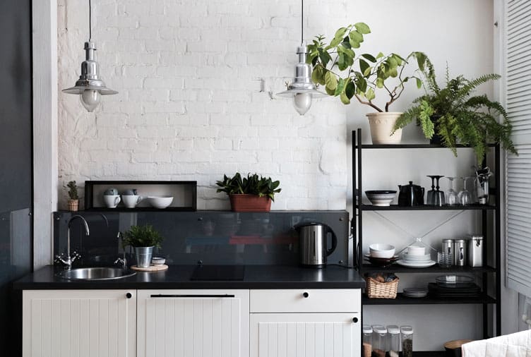 8 loại cây cảnh nên trồng trong nhà bếp vì có khả năng lọc không khí và khử mùi cực tốt-8