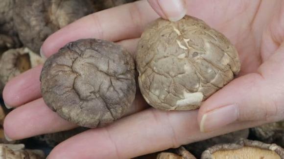 Khi mua nấm hương khô, người biết sẽ nhìn vào 6 điểm này để chọn, chủ cửa hàng đồ khô cũng phải thán phục-3