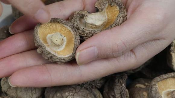 Khi mua nấm hương khô, người biết sẽ nhìn vào 6 điểm này để chọn, chủ cửa hàng đồ khô cũng phải thán phục-6