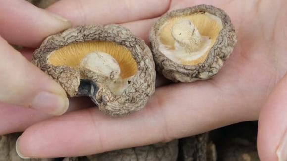 Khi mua nấm hương khô, người biết sẽ nhìn vào 6 điểm này để chọn, chủ cửa hàng đồ khô cũng phải thán phục-5