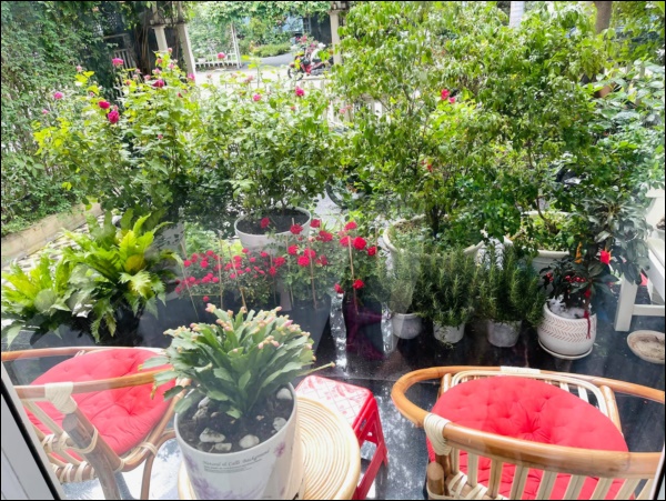 Biệt thự của Thân Thúy Hà có thêm góc chill ngập hoa tươi siêu lãng mạn, không gian sống xanh ai cũng mơ ước-4