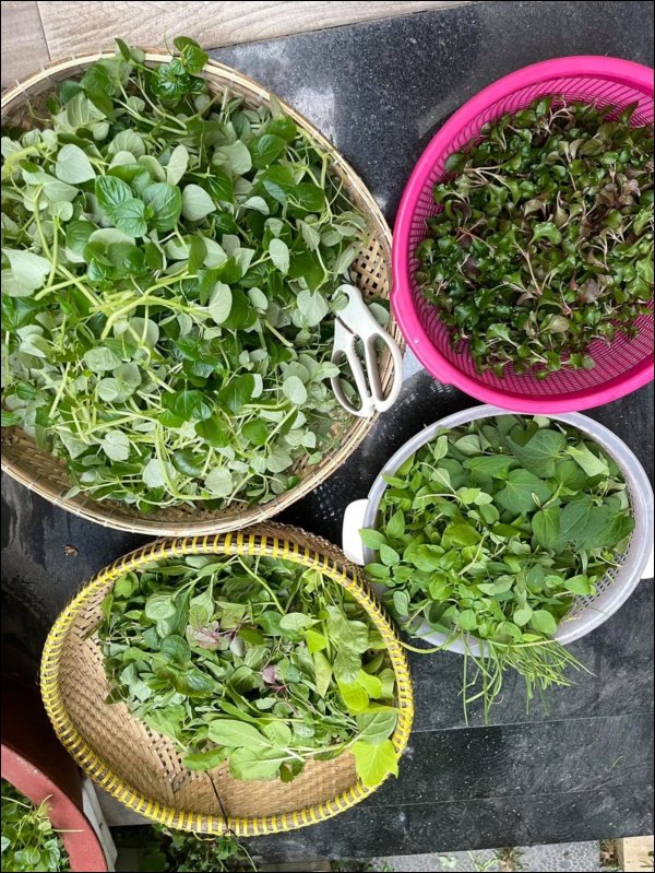 Biệt thự của Thân Thúy Hà có thêm góc chill ngập hoa tươi siêu lãng mạn, không gian sống xanh ai cũng mơ ước-13