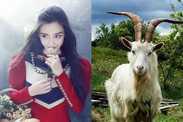 15 ngày cuối tháng 5 dương lịch, Top 3 con giáp được Thần Tài gõ cửa, ngủ trên đống tiền, làm gì cũng may mắn hơn người, tình tiền viên mãn-4