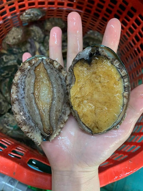 Bào ngư Hàn Quốc giá rẻ như rau bán đầy chợ mạng, thực hư thế nào?-2