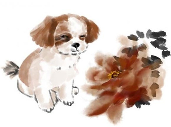 15 ngày cuối tháng 5 dương lịch, Top 3 con giáp được Thần Tài gõ cửa, ngủ trên đống tiền, làm gì cũng may mắn hơn người, tình tiền viên mãn-1