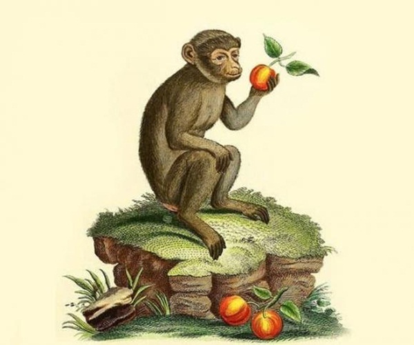 15 ngày cuối tháng 5 dương lịch, Top 3 con giáp được Thần Tài gõ cửa, ngủ trên đống tiền, làm gì cũng may mắn hơn người, tình tiền viên mãn-3