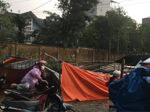 Hà Nội: Hàng loạt cây xanh bật gốc đổ rạp xuống đường sau cơn mưa lớn đầu mùa-8