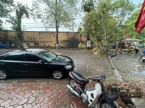 Hà Nội: Hàng loạt cây xanh bật gốc đổ rạp xuống đường sau cơn mưa lớn đầu mùa-9
