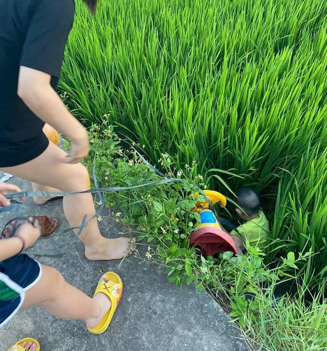 Được chị dắt đi chơi, cậu bé ngã lộn cổ xuống ruộng, hình ảnh sau đó khiến người ta không nhịn được cười-3