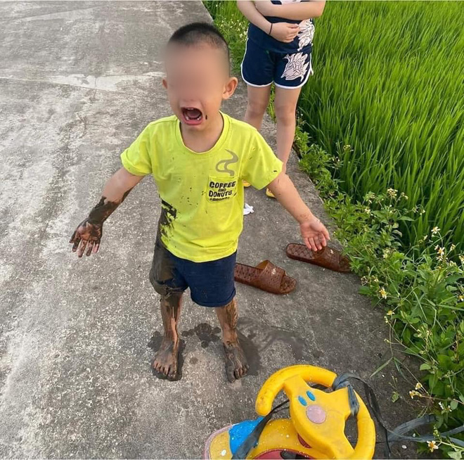 Được chị dắt đi chơi, cậu bé ngã lộn cổ xuống ruộng, hình ảnh sau đó khiến người ta không nhịn được cười-7