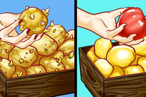 Các chuyên gia vạch trần 3 sai lầm phổ biến nhất khi rửa rau, dùng nước vo gạo là mẹo không nên thử nhất-7