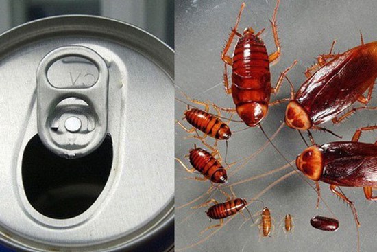 Dùng lon bia uống dở 