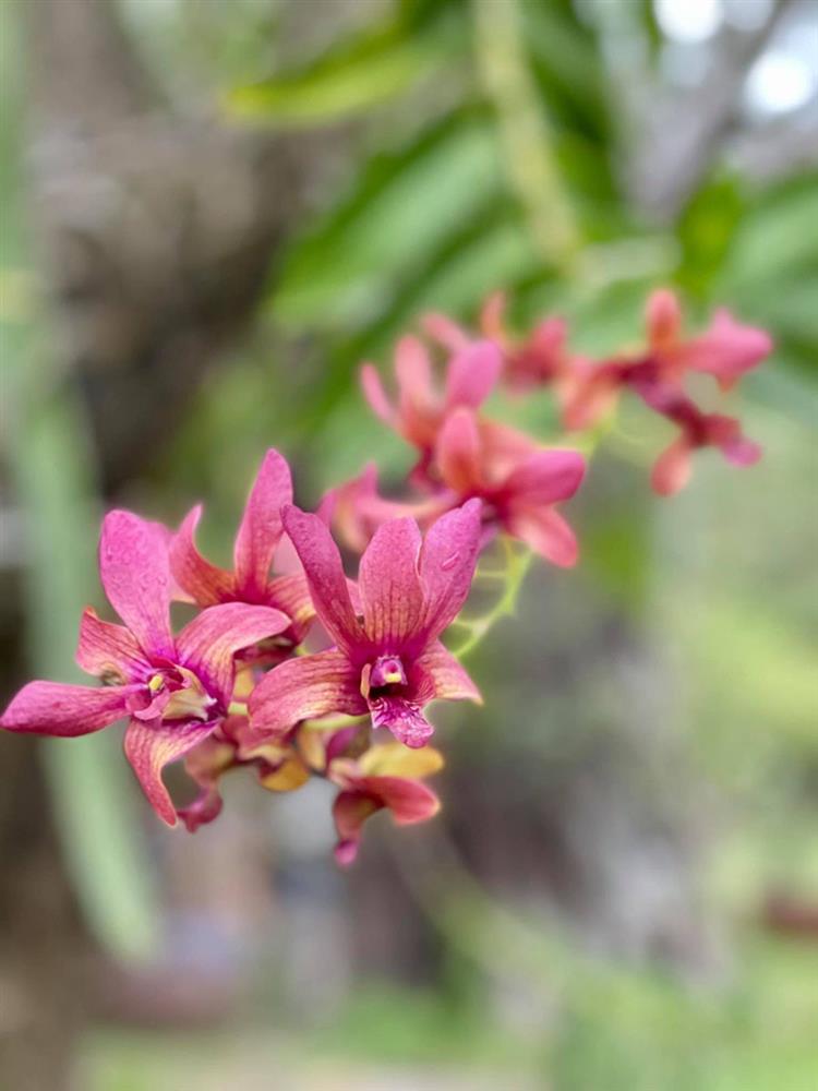 Con rể tương lai khinh thường vì tôi từng ly hôn-1