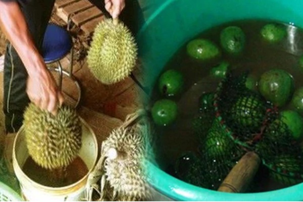 Sau khi gói nem, đừng đem chiên ngay mà làm thêm bước này đảm bảo khi rán sẽ giòn tan-5